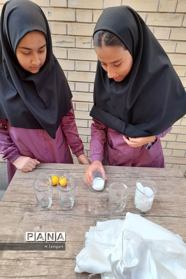 گرامیداشت  روز آزمایشگاه در دبیرستان دخترانه گلستان شهرستان مانه و سملقان