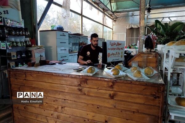 اولین جنگل استوایی کشور در شهرستان قرچک