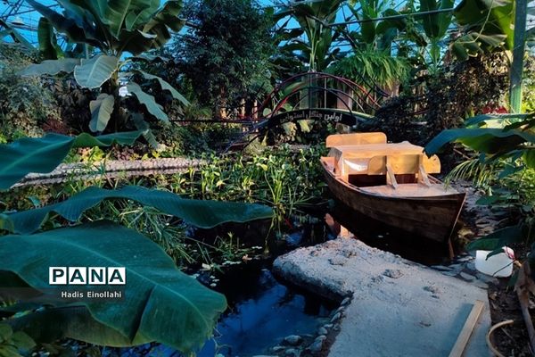 اولین جنگل استوایی کشور در شهرستان قرچک