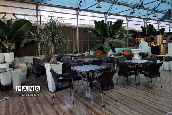 اولین جنگل استوایی کشور در شهرستان قرچک