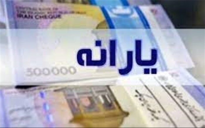 بهره‌مندی ۱۹میلیون خانوار از یارانه تشویقی ۱۲۰ هزار تومانی