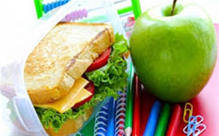 چرا باید در کنار آموزش به سلامتی دانش آموزان در مدرسه توجه کرد؟