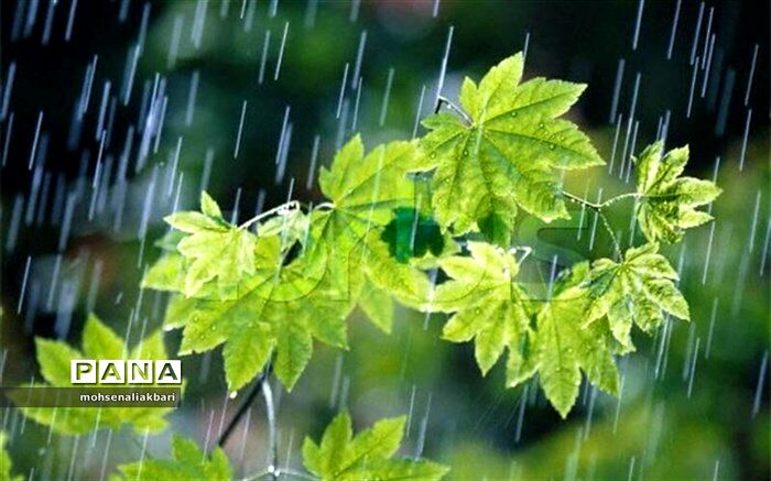 میزان بارش‌ها در کشور یک سوم متوسط جهانی است