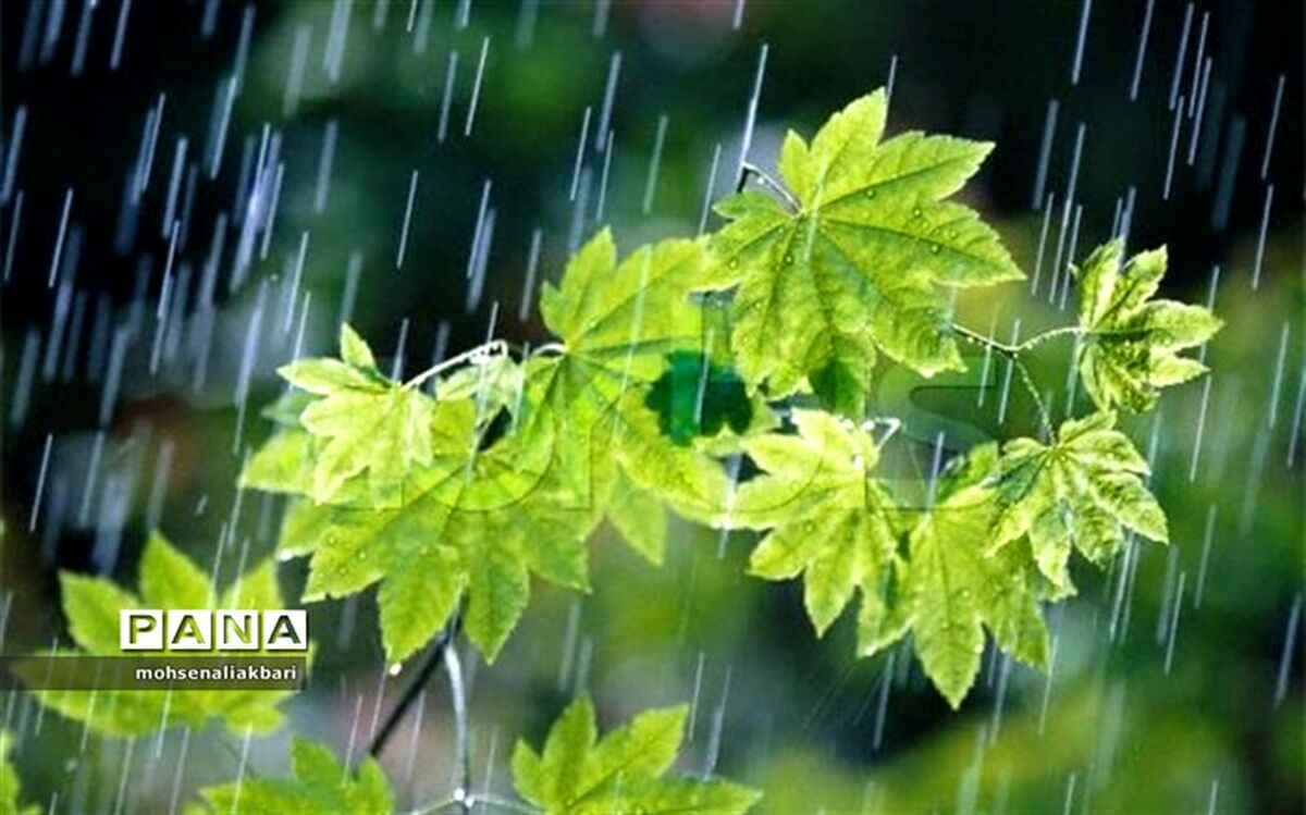 میزان بارش‌ها در کشور یک سوم متوسط جهانی است