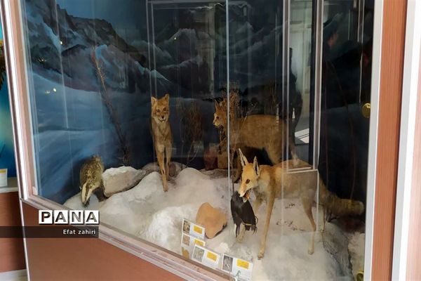 بازدید از پژوهش‌سرای شهید حجتی نجف‌آبادو برگزاری اولین جلسه مدیران سرقطب پژوهش‌سراهای استان در شهرستان نجف‌آباد