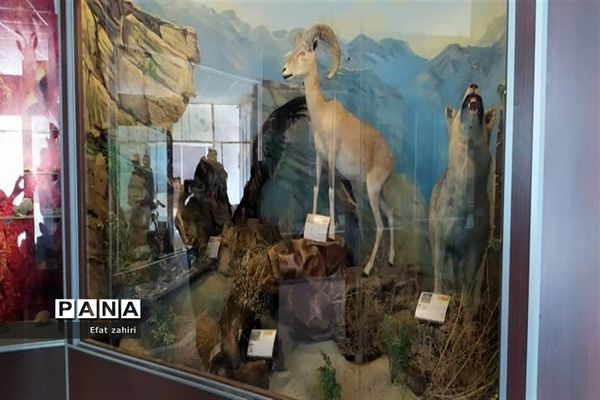 بازدید از پژوهش‌سرای شهید حجتی نجف‌آبادو برگزاری اولین جلسه مدیران سرقطب پژوهش‌سراهای استان در شهرستان نجف‌آباد