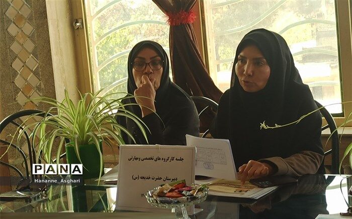 هدف اصلی کارگروه‌های تخصصی انجمن و اولیا، سازماندهی و مشارکت اولیا در مدرسه است