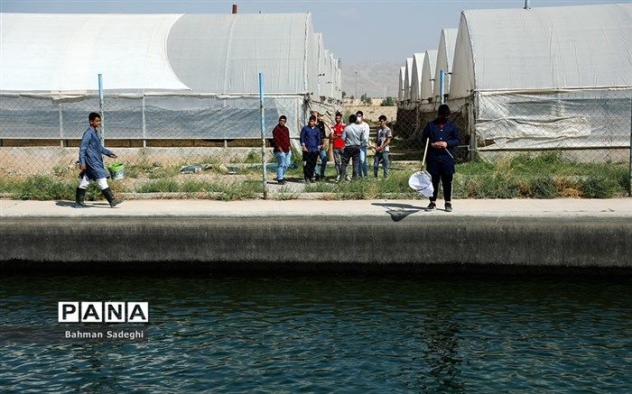 فاصله صنعت با دانشگاه‌ها و هنرستان‌ها زیاد شده است