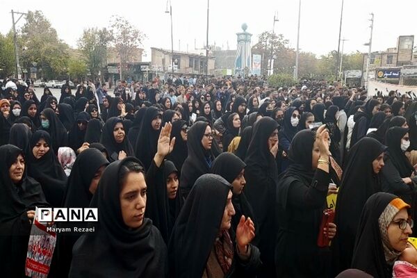 نوای همدردی عروسک‌ها