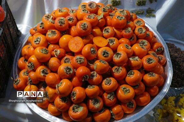 جشنواره یاقوت‌های سرخ فاروق