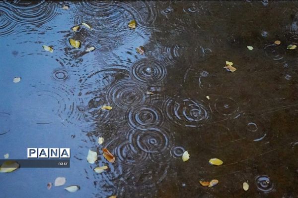 طراوت باران در اصفهان پاییزی