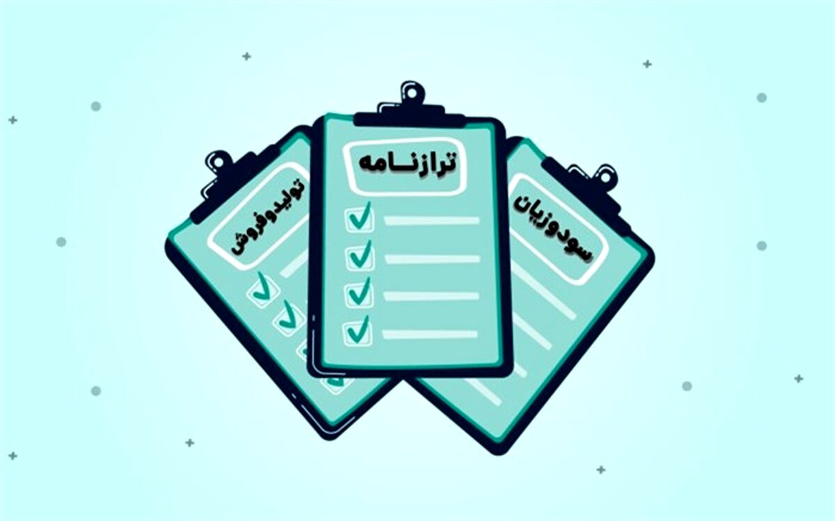 نگاهی از نزدیک به صورت‌های مالی 289 شرکت دولتی