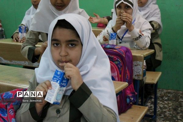 طرح توزیع شیر رایگان در مدارس استان بوشهر ( 2 )