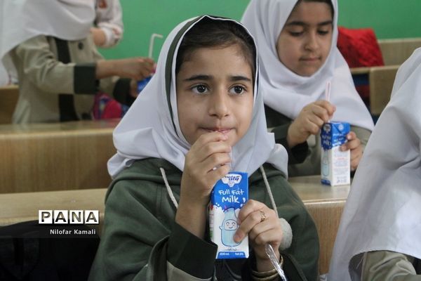 طرح توزیع شیر رایگان در مدارس استان بوشهر ( 2 )