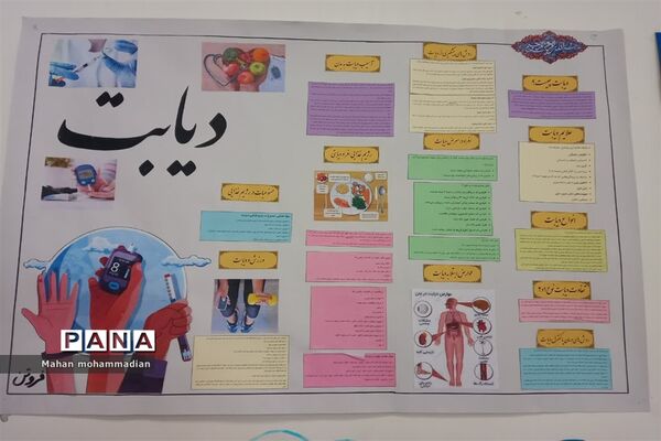 مراسم  روز جهانی پیشگیری از دیابت در دبستان پاسداران