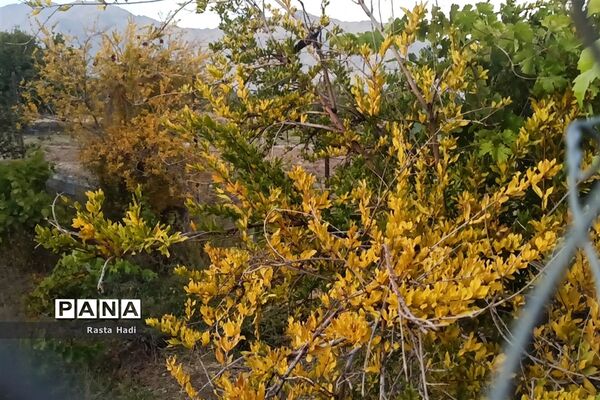 پاییز در شهر سورمق