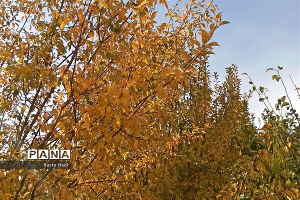 پاییز در شهر سورمق