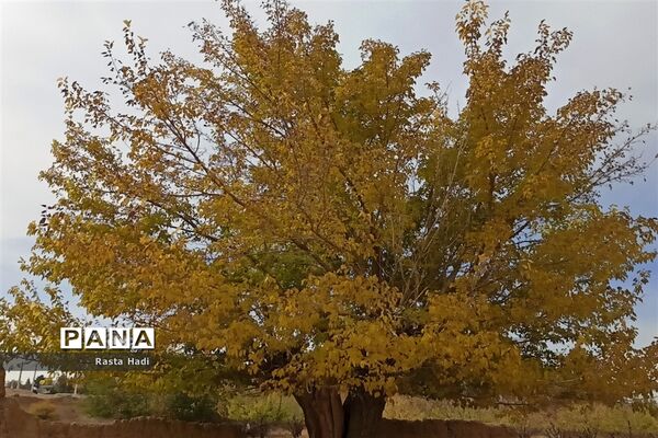 پاییز در شهر سورمق