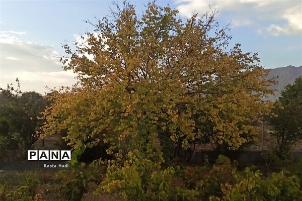 پاییز در شهر سورمق