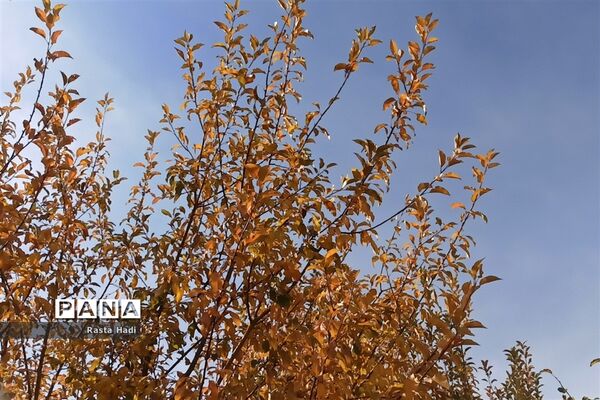 پاییز در شهر سورمق