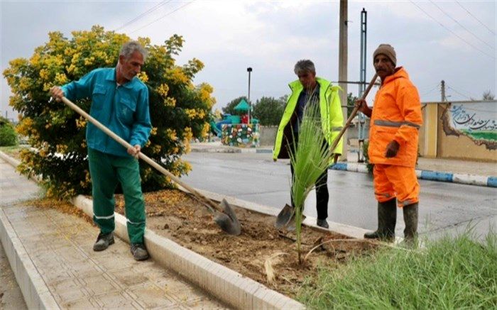کاشت 770 اصله نهال در بلوارهای سطح شهر اهرم