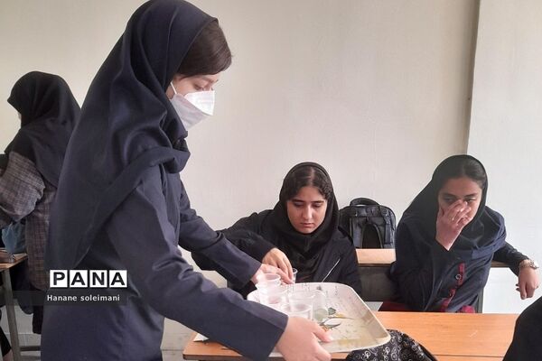 اجرای طرح آهن‌یاری در دبیرستان عرفان ناحیه 2 ری