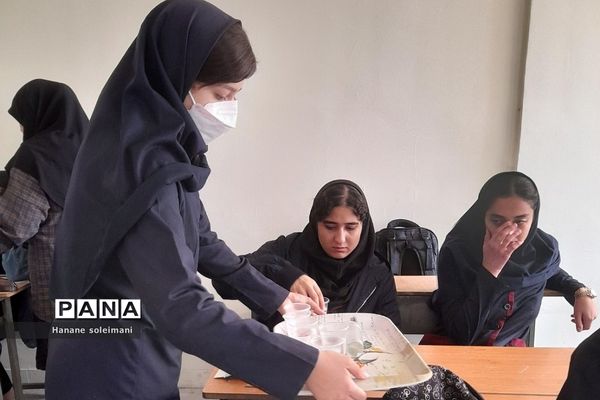 اجرای طرح آهن‌یاری در دبیرستان عرفان ناحیه 2 ری