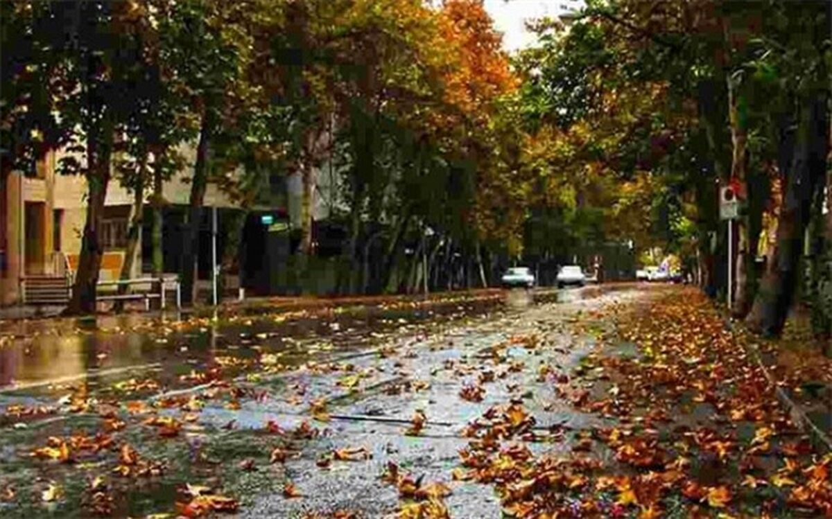 باران و باد شدید در تهران
