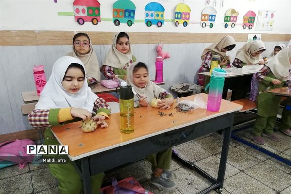 روز بدون کیف و کتاب دانش‌آموزان دبستان شاهد حریت بهبهان