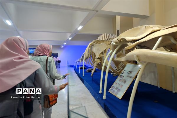 بازدید علمی دانش‌آموزان دبستان شاهد فاطمه الزهرا(س)ازموزه تاریخ طبیعی و تکنولوژی دانشگاه شیراز