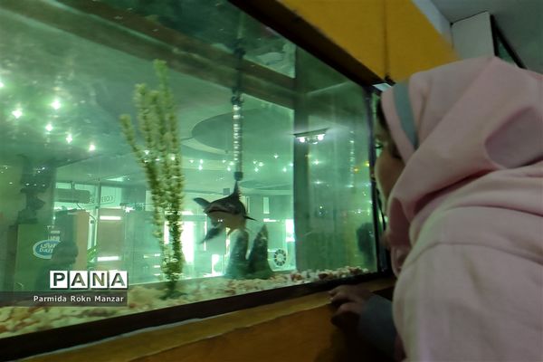 بازدید علمی دانش‌آموزان دبستان شاهد فاطمه الزهرا(س)ازموزه تاریخ طبیعی و تکنولوژی دانشگاه شیراز