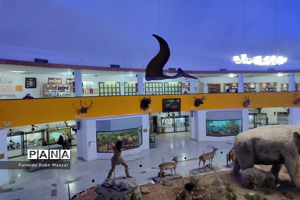 بازدید علمی دانش‌آموزان دبستان شاهد فاطمه الزهرا(س)ازموزه تاریخ طبیعی و تکنولوژی دانشگاه شیراز