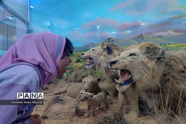 بازدید علمی دانش‌آموزان دبستان شاهد فاطمه الزهرا(س)ازموزه تاریخ طبیعی و تکنولوژی دانشگاه شیراز