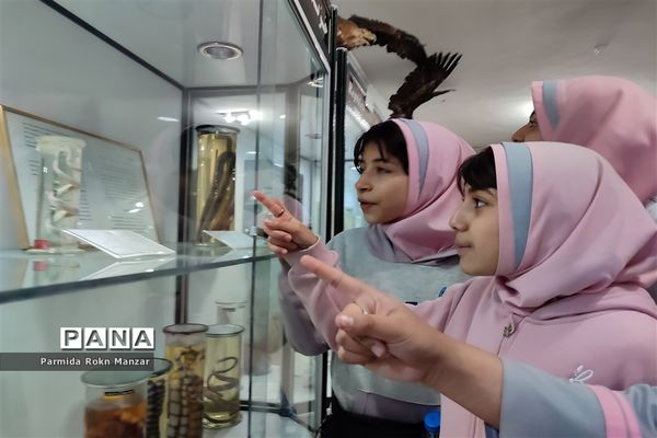 بازدید علمی دانش‌آموزان دبستان شاهد فاطمه الزهرا(س)ازموزه تاریخ طبیعی و تکنولوژی دانشگاه شیراز
