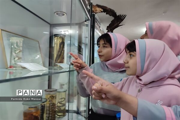 بازدید علمی دانش‌آموزان دبستان شاهد فاطمه الزهرا(س)ازموزه تاریخ طبیعی و تکنولوژی دانشگاه شیراز