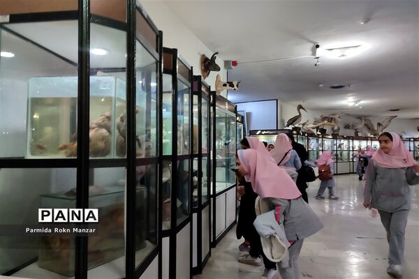 بازدید علمی دانش‌آموزان دبستان شاهد فاطمه الزهرا(س)ازموزه تاریخ طبیعی و تکنولوژی دانشگاه شیراز