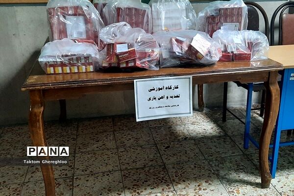 برگزاری کارگاه آموزشی طرح آهن‌یاری در آموزش و پرورش ناحیه یک شهرری