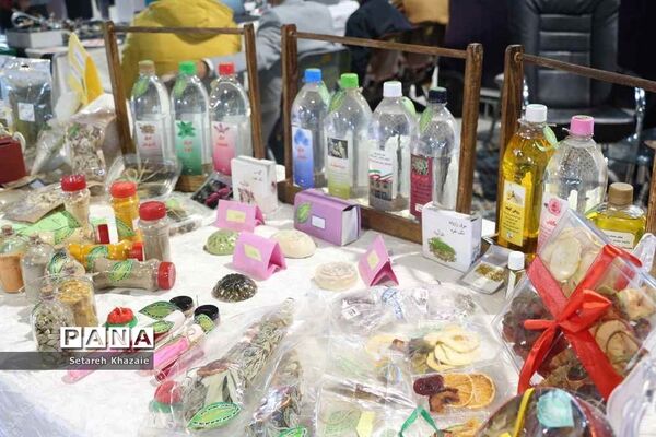 افتتاح نمایشگاه دستاوردهای پژوهش و فناوری استان خراسان رضوی