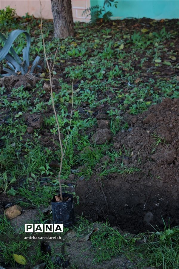 اجرای پویش میرزا کوچک خان جنگلی در دبیرستان عصمت ناحیه یک ساری