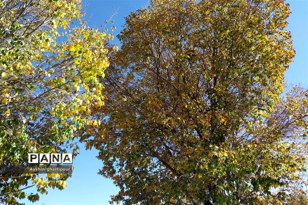 فصل پاییز در شیراز