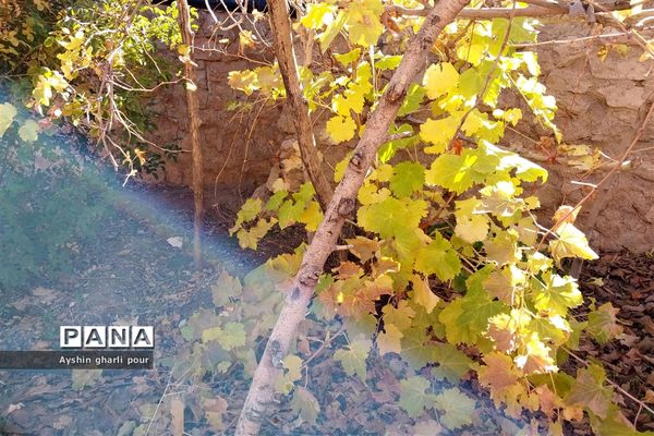 فصل پاییز در شیراز