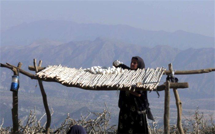 پرداخت مشکلات زنان عشایری در «دختر کوه نور»