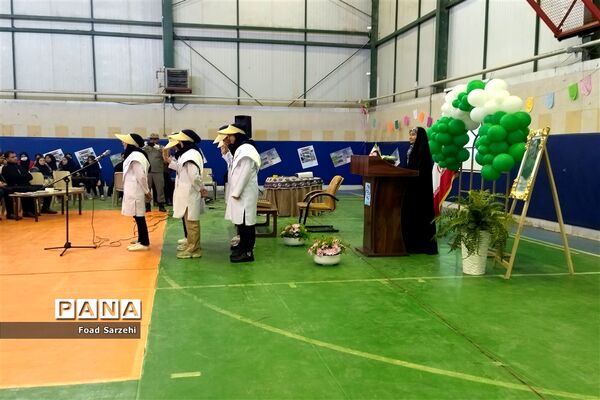 برگزاری مراسم افتتاحیه سفیران سلامت در شهرستان تربت جام