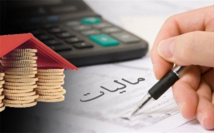 دولت، مجلس و سازمان امور مالیاتی به فرارمالیاتی مشاغل خاص ورود کنند