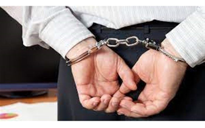 عامل هتک حرمت زن جوان  در فضای مجازی دستگیر شد