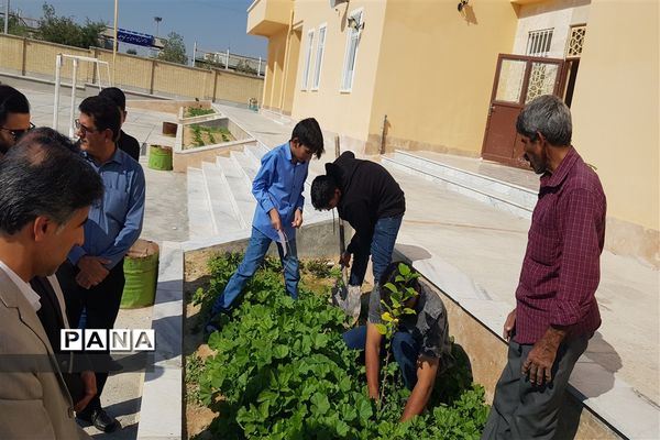 کاشت نهال به یاد شهدای مظلوم غزه