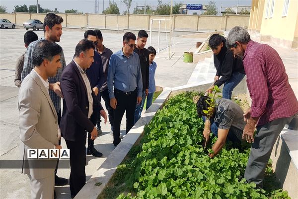 کاشت نهال به یاد شهدای مظلوم غزه