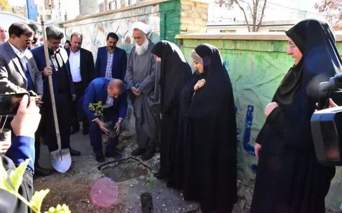 کاشت 5 هزار اصله نهال در مدارس  کهگیلویه و بویراحمد آغاز شد