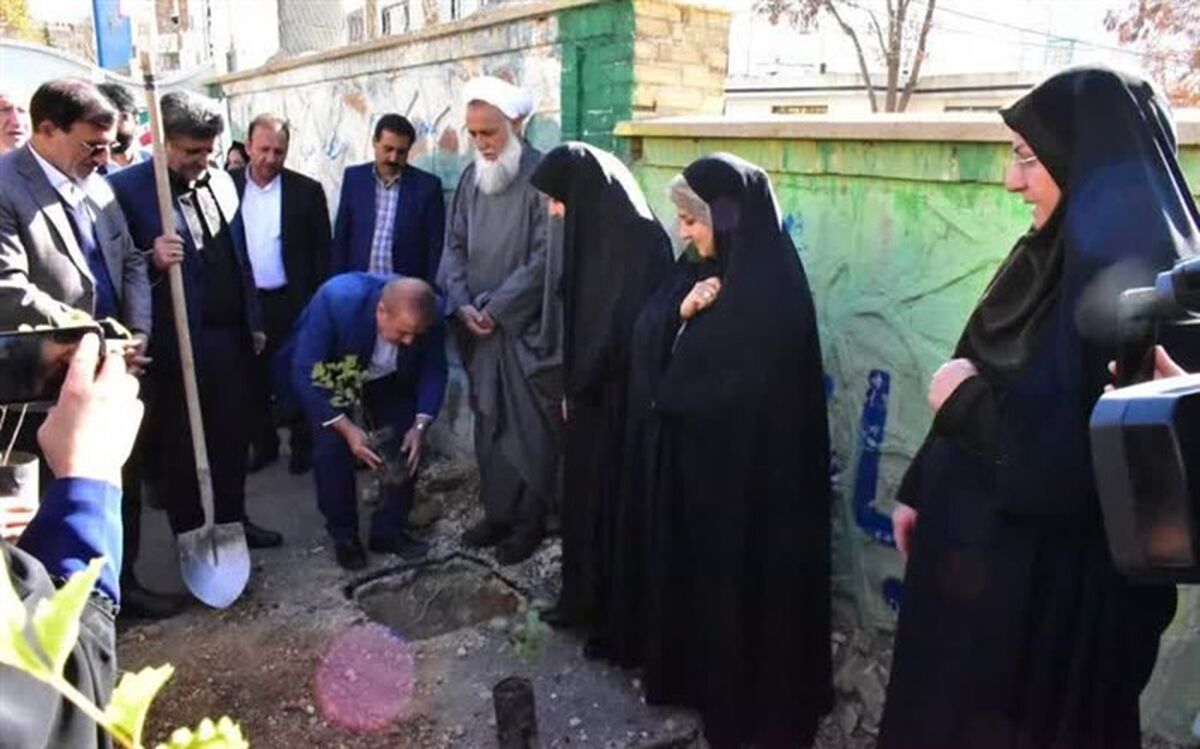 کاشت 5 هزار اصله نهال در مدارس  کهگیلویه و بویراحمد آغاز شد