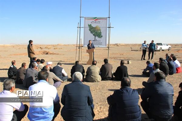 آغاز کاشت نهال تاغ در منطقه ۳۵۰۰ هکتاری غرب ابرکوه